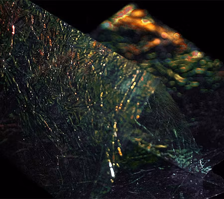 Troutline Flashback Fine Foil