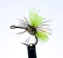 Dynamit Harry Light Olive #16
