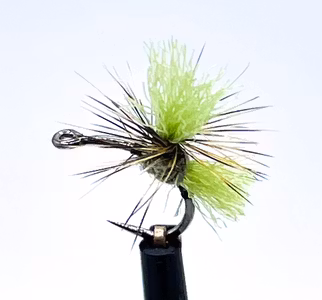Dynamit Harry Light Olive #16