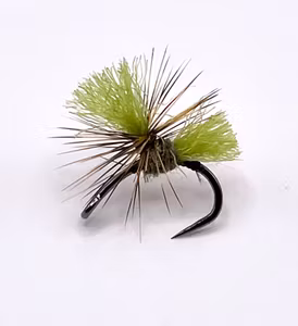 Dynamit Harry Light Olive #16