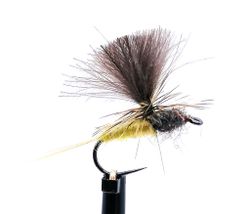 Dagslända Sunburst Yellow #14