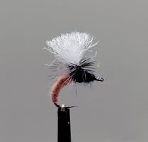 Klinkhammer Brown #14