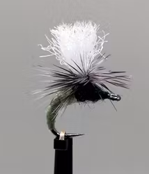 Klinkhammer Olive Dun #14