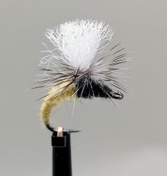 Klinkhammer Sunburst Yellow #14