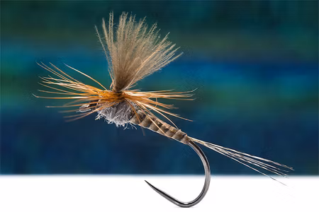 Tactical PF11 Dry Fly BL  #18