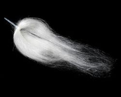 Ghost Hair Sybai