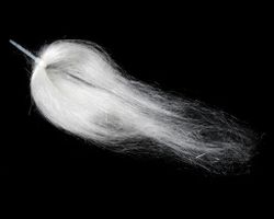 Ghost Hair Sybai