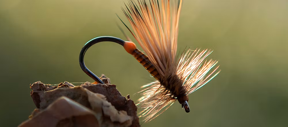 Ahrex FW503 Dry Fly Light Barbless