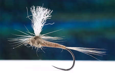Tactical PF4 Dry Fly BL