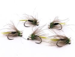 Golden Olive Quill Pupa Tungstenshuvud