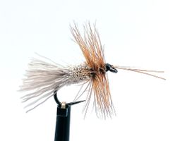 Goddard Caddis #14