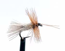 Goddard Caddis #14