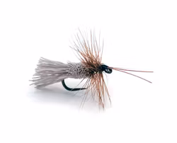 Goddard Caddis #14