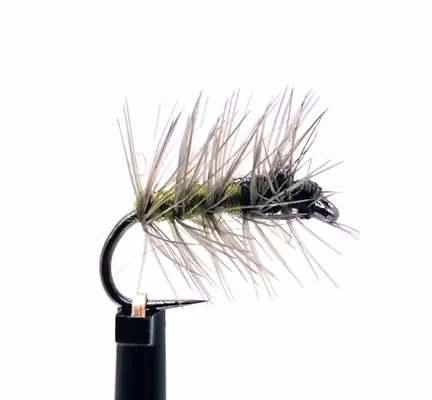 Superpuppa Olive/Svart #14
