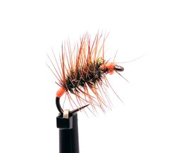 Orange Griffith’s Gnat Variant # 18