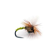 Klinkhammer Golden Olive Biot #14