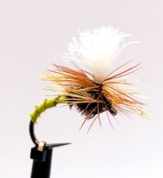 Klinkhammer Golden Olive Biot #14