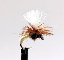 Klinkhammer Bone White #16