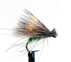 CdC & Elk Olive Green #16