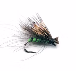 CdC & Elk Olive Green #16