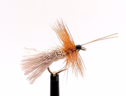 Goddard Caddis #14