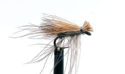 Cdc and Elk Dark #16