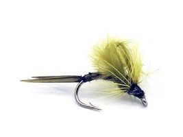 Kläckare Dark Olive #14
