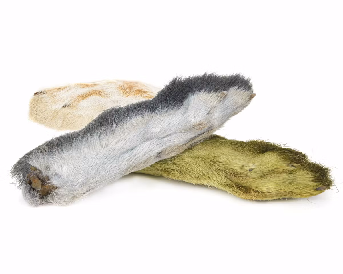 Natures Spirit Snowshoe Rabbit Foot