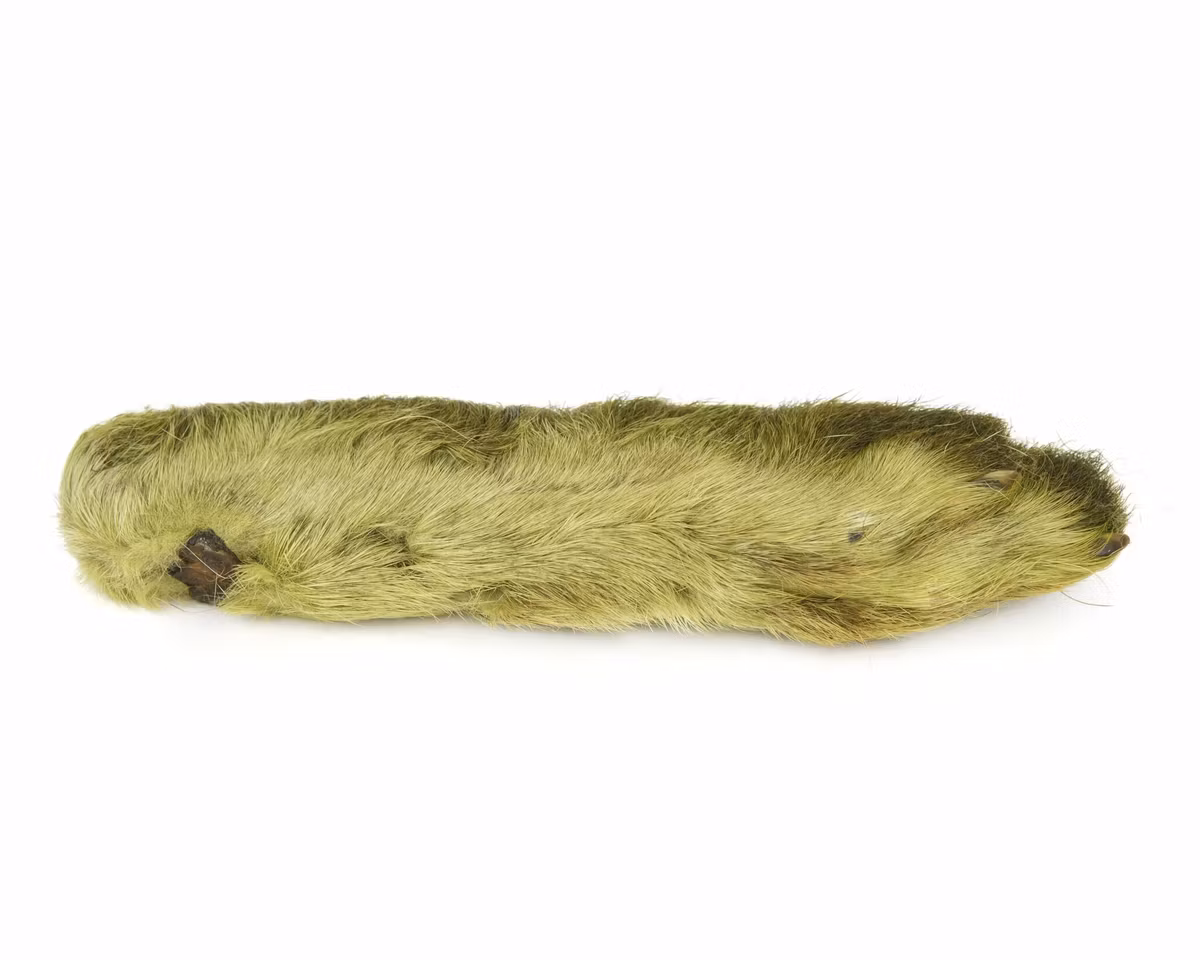 Natures Spirit Snowshoe Rabbit Foot