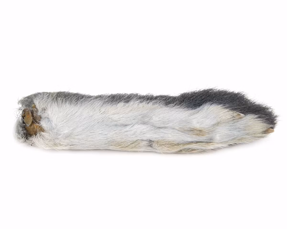 Natures Spirit Snowshoe Rabbit Foot