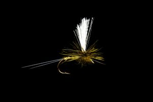 Olive Dagslända #12 Fly Dressing
