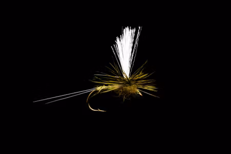 Olive Dagslända #12 Fly Dressing