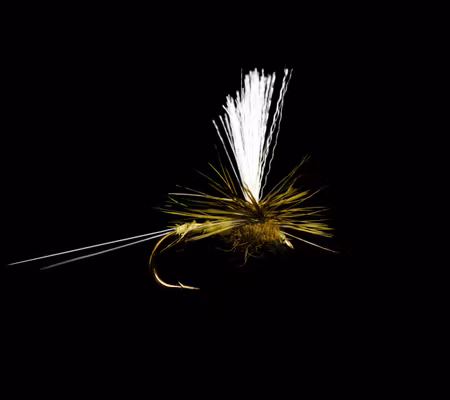 Olive Dagslända #12 Fly Dressing