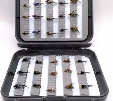 Ask med 30 Puppor/Nymfer Hullinglös