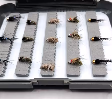 Ask med 30 Puppor/Nymfer Hullinglös