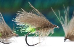 Tactical PD Dry Sedge No6 BL -#16