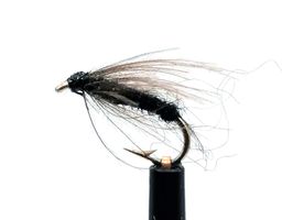 CDC Myggen #16