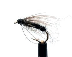 CDC Myggen #16