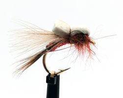 Kläckare Rusty Brown #14