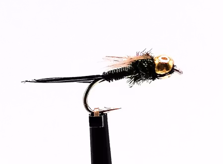 Black John #14
