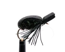 Black Beetle #12