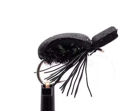 Black Beetle #12