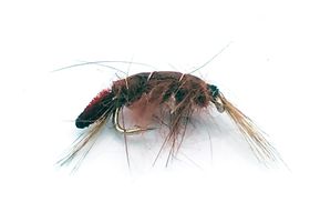 Scud Brown #14