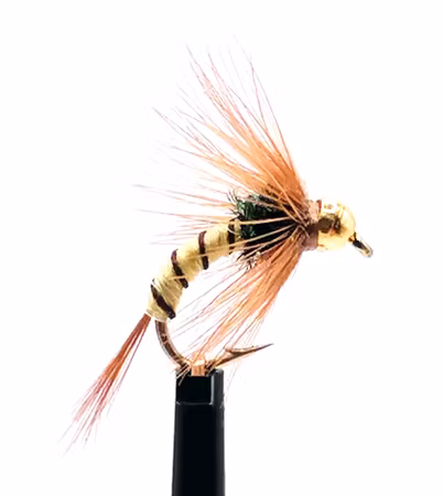 BH-PL-Yellow Rib #14