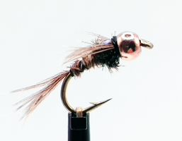 Lightning-Bug-FB-BH #14