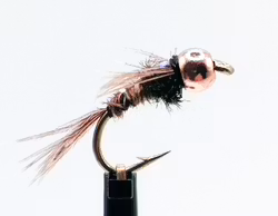 Lightning-Bug-FB-BH #14