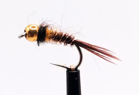 Pheasant-PL-Yellow #14