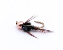 Lightning-Bug-FB-BH #14