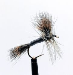 Gray Wulff #12
