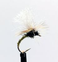 Klinkhammer Olive Biot  #14